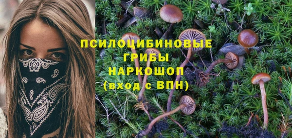 кристаллы Каменка