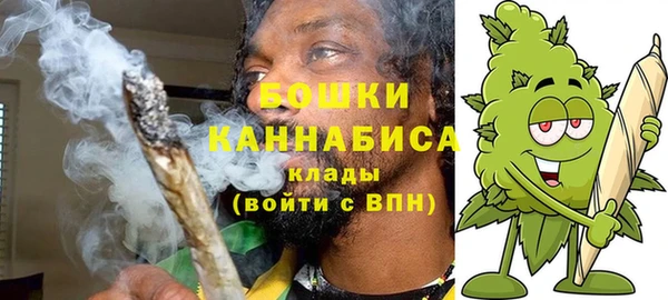 тгк Каменск-Шахтинский