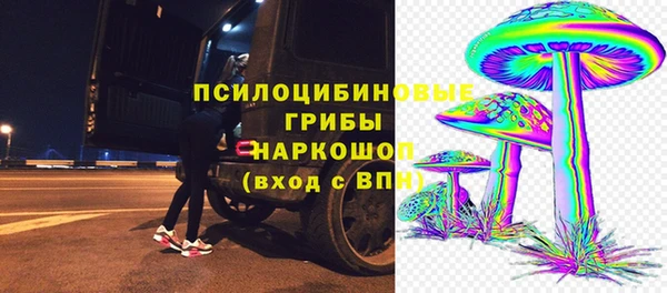 тгк Каменск-Шахтинский